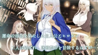 【RPG】奴役与解放的迷宫 隷属と解放のラビリンス Ver1.2 AI汉化版 【度盘/2.6G】