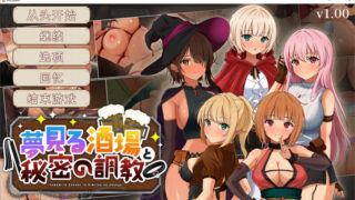 【SLG/汉化】梦幻酒吧和秘密训练-DL汉化版【度盘/3.3G】