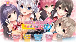 【ADV】real elo game experience 真实色情游戏情景体验【度盘】