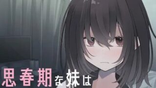 【PC/SLG/骨科】思春期的妹妹想要做爱!!