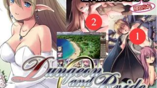 【RPG】【PC/AI汉化】 地下城与新娘 ダンジョンアンドブライド Ver1.12 【度盘/1.5G】