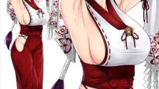 【漫画】Secret Of The Shrine Maiden 【机械设计制造及其汉化组】【度盘/137M】
