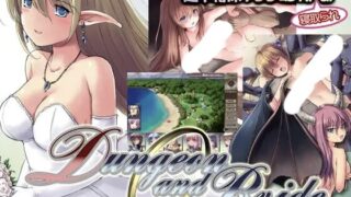 【RPG/面条易凉个人汉化】 地下城与新娘 ダンジョンアンドブライド 【度盘/1.6G】