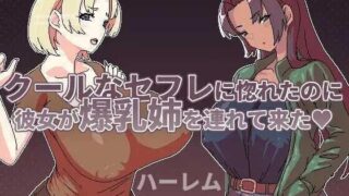 【RPG/PC/安卓joi】明明迷上了冷嬌的炮友但她卻帶她的姊來了 Ver1.00 官方中文版【度盘/495M】
