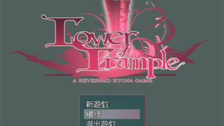 【RPG/PC/中文】践踏之塔1-10层【度盘/9G】
