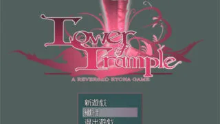 【RPG/PC/中文】践踏之塔1-10层【度盘/9G】