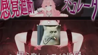【SLG】 感官阻断模拟器-高傲魔女的无限快感地狱 【度盘/1.1G】