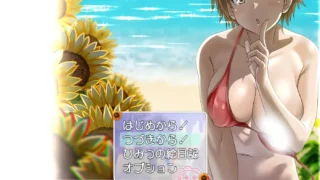 【RPG】【PC】我的秘密暑假重制云翻（存档+步兵补丁）【度盘】