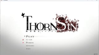 【ACT/PC】ThornSin棘罪修女 v0.7.5 官中【度盘/784Mb】