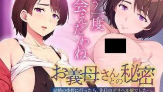 【ADV/AI汉化】与岳母的秘密 ～去拜见未婚妻的父母,她竟是前几天的应召女郎… お義母さんとの秘密 ～結婚の挨拶に行ったら、先日のデリヘル嬢でした…。 +全CG存档【度盘/532M】