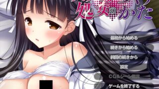【ADV/AI汉化】好色处女的养成方法 スケベな処女のつくりかた +全CG存档【度盘/576M】