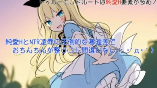 【ADV/汉化】终末世界的爱丽丝 終末の世界のアリス【度盘/400M】
