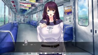【ADV】公然電車 ～携帯一つでおり即ハメし放題他人のを粘着けり～【度盘/400M】