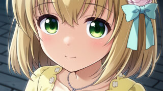 【番剧】厄里斯的圣杯【磁链/更新至12】