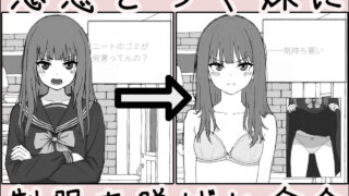 【PC/SLG】对妹妹进行暗示下的无许可内射模拟