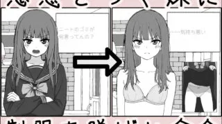 【PC/SLG】对妹妹进行暗示下的无许可内射模拟