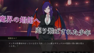 【SLG】 魅魔专用!逆推妓院! サキュバス専用!逆レ○プ娼館へようこそ AI汉化版 【度盘/2.3G】