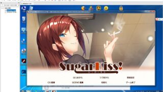 【ADV/AI汉化】CandySoft 社【162.51G】
