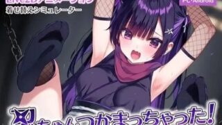 【SLG/汉化/双端】忍ちゃんつかまっちゃった! / 小忍被抓住啦!去码版【度盘+夸克/1.4G】
