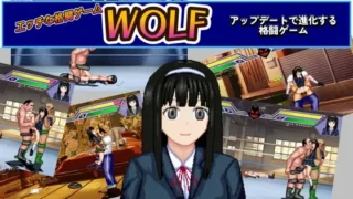 【ACT】WOLF~色色的升级型格斗游戏~ WOLF～エッチなアップデート型格闘ゲーム～ v26.03.09 官方中文版【度盘/12G】
