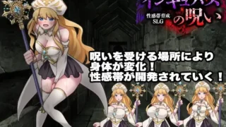 【SLG/AI汉化】敏感带培育SLG 梦魔的诅咒 杏感帯育成SLG【度盘/400M】