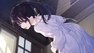 【RPG/官中/步兵】痴情哥哥与病弱妹妹的乡间生活 +Append1-5【度盘/夸克/4G】