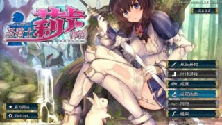 【同人动画】圣骑士莉卡物语 白翼与淫翼姐妹 游戏录制CG【度盘/26.45 GB】