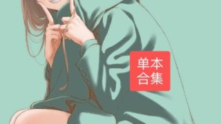 【本子/熟肉】1522本单行本合集【本篇272GB+DLC44.9GB/度盘】