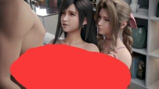 【3D】[bamhor] 蒂法＆爱丽丝【度盘/迅雷/UC/98MB】