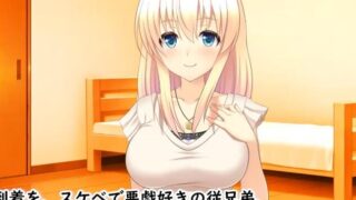 【同人动画】姉ちゃんがオレの玩具になっちゃうまで!?【度盘/3G】