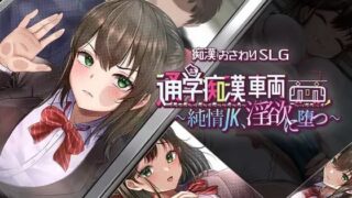 【SLG/AI汉化】通学痴汉车辆～纯情JK、堕入阴欲～【度盘/夸克/1.6G】