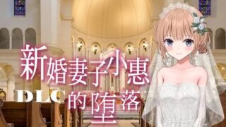 【ADV/安卓】新婚妻子小惠的堕落【度盘/夸克/1.2G】