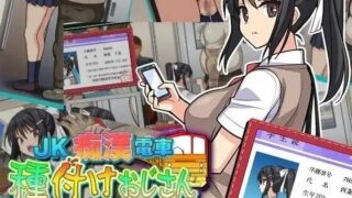 【SLG/机翻】JK痴汉电车 播种大叔 v2.1【度盘/夸克/1.12G】