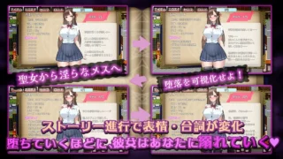 【RPG/AI汉化】禁断の寝取られ目録～聖女の仮面を剥がす银らな禁書調教～【度盘/836M】