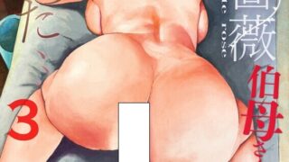 【本子/汉化】白薔薇伯母さんの秘めた、、、1-4【12本/度盘/迅雷/夸克/800M】