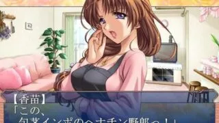 【ADV/双端/汉化】妻中蜜 妻みぐい 1+2+3 三部合集全【度盘/迅雷/UC/3.9GB】