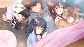 【ADV/双端/步兵】【FD】哥哥，早上起床之前都要抱紧我哦！ 存档【PC4.7GB+安卓0.9GB/度盘/迅雷/UC】