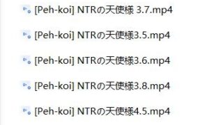 【3D】Peh-koi的《NTRの天使様》间章合集【度盘/迅雷/UC/1.39GB】