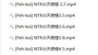 【3D】Peh-koi的《NTRの天使様》间章合集【度盘/迅雷/UC/1.39GB】