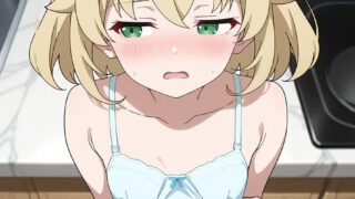 【番剧】向日葵马戏团 グロウアップショウ【磁力/更新至13】