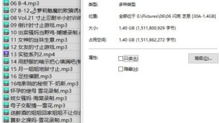 【ASMR】闪亮银 芝恩正 还有个忘记叫啥了【30A/迅雷/度盘/1.4GB】