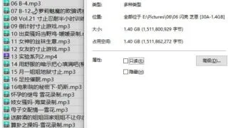 【ASMR】闪亮银 芝恩正 还有个忘记叫啥了【30A/迅雷/度盘/1.4GB】