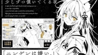 【SLG/双端/AI汉化】捡到的狐娘逐渐亲近的夜晚 拾った狐娘が少しずつ懐いてくる夜 +存档【度盘/330M】