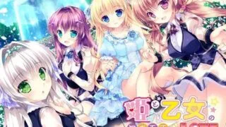 【ADV】[Princess Sugar]公主和少女的醋意情事/ 姫と乙女のヤキモチLOVE 全特典+存档【度盘/UC】