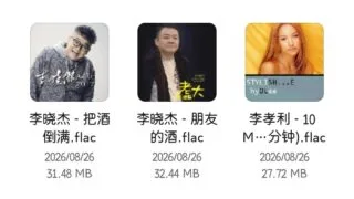 【原声音乐集】车载U盘音乐【度盘/UC/40G】