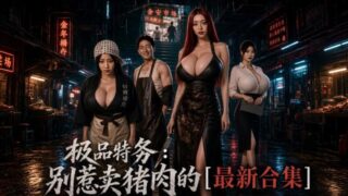 【短剧】【AI作品】特务别惹卖猪肉的【度盘/夸克/2.8G/1-10集】