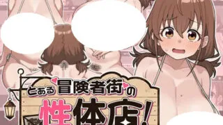 【SLG/AI汉化】某冒险者街道的性体店! とある冒険者街の性体店! v1.02【度盘/311M】