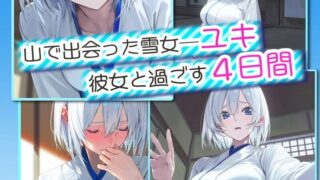 【ADV/AI汉化】[ Sibyl Networks]四夜之雪 -four night at Yuki’s- / 四つ夜のユキ -four night at Yuki’s-【度盘】