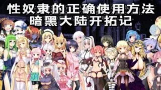 【SRPG】性奴隶的正确使用方法-暗黑大陆开拓记【度盘/夸克/迅雷/3.4G】