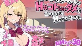 【RPG/双端/汉化】梦落 ～在色情学校的梦境之中，被说不可以做色情的事情 +全CG存档【PC0.59GB+安卓0.50GB/度盘/迅雷/UC】